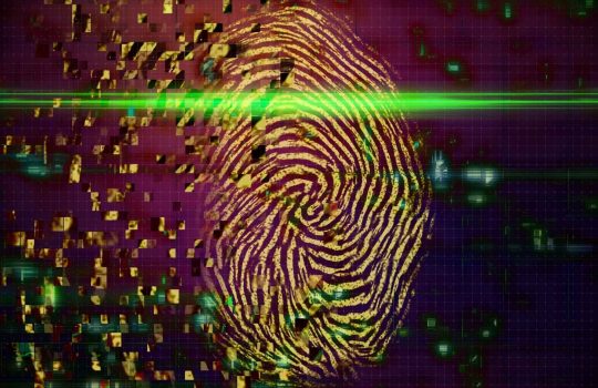 Digital Identity Protection2